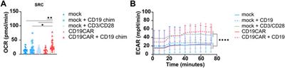 Determination of CAR T cell metabolism in an optimized protocol